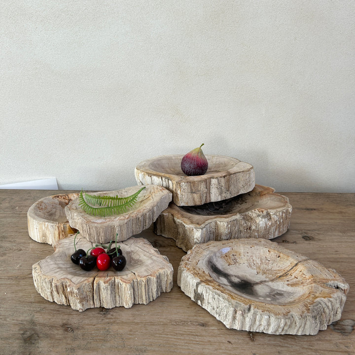 Petrified Wood stone Bowls