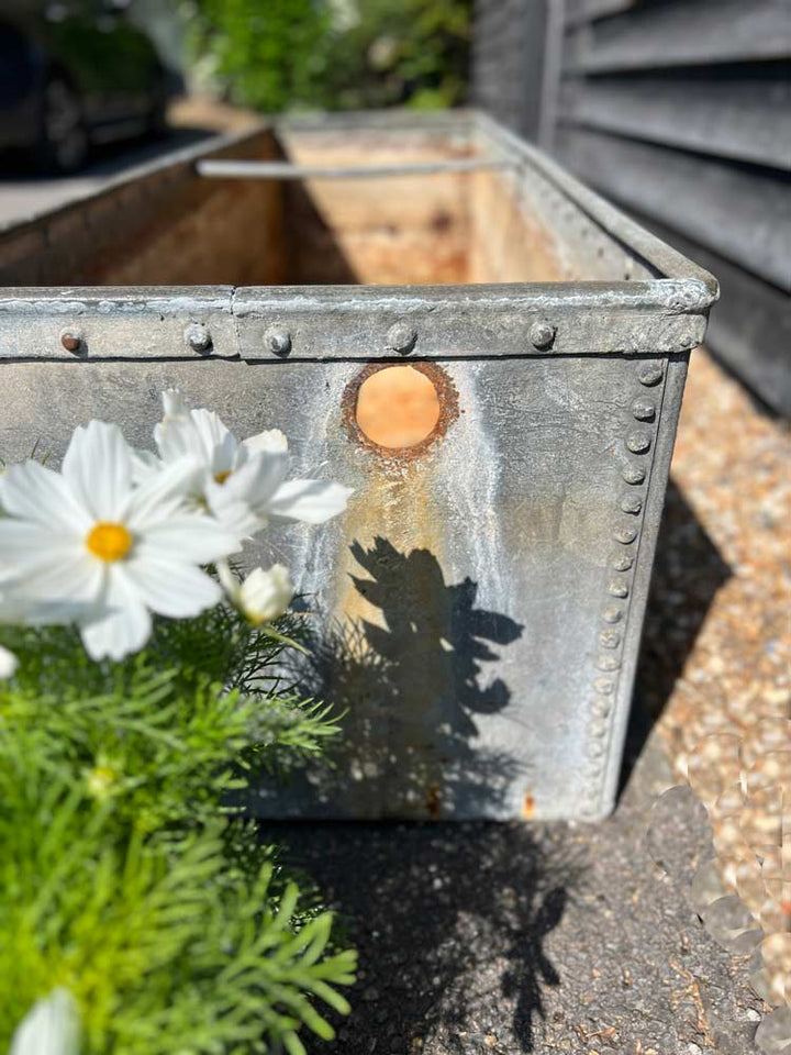 Vintage riveted trough planter | B