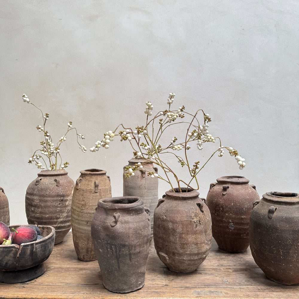 14th Century Shipwreck pot | Darlina