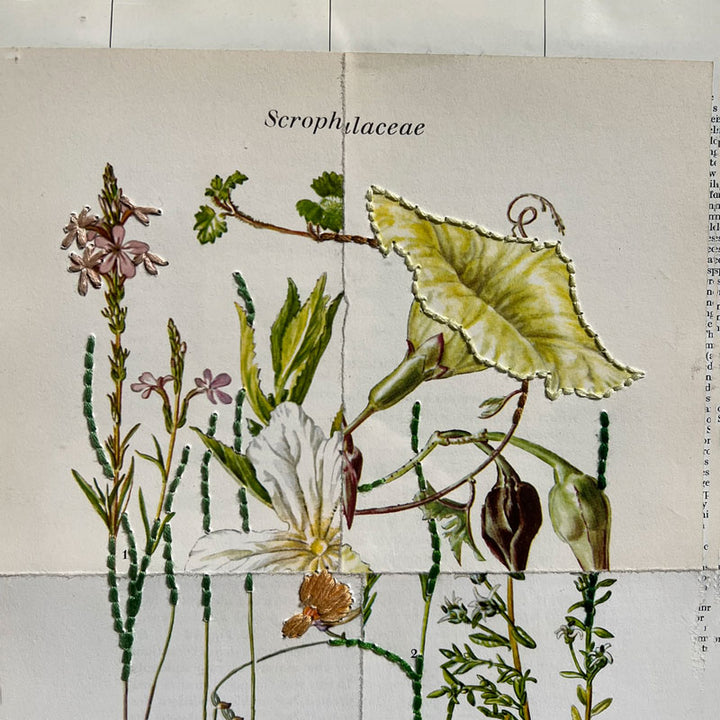 Botanical Book plate collage artwork