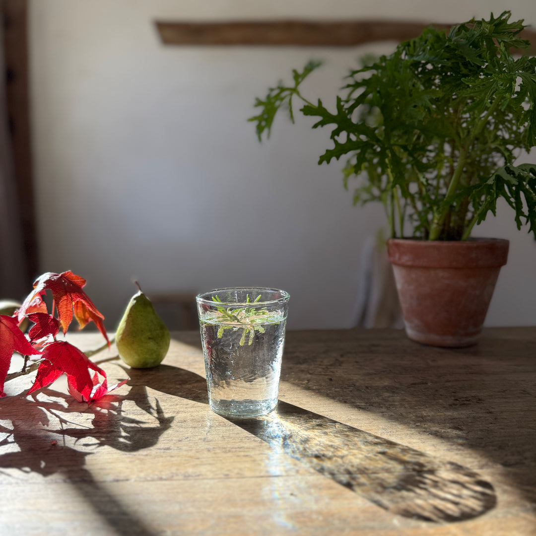 Textured Glass Tumbler | Clear