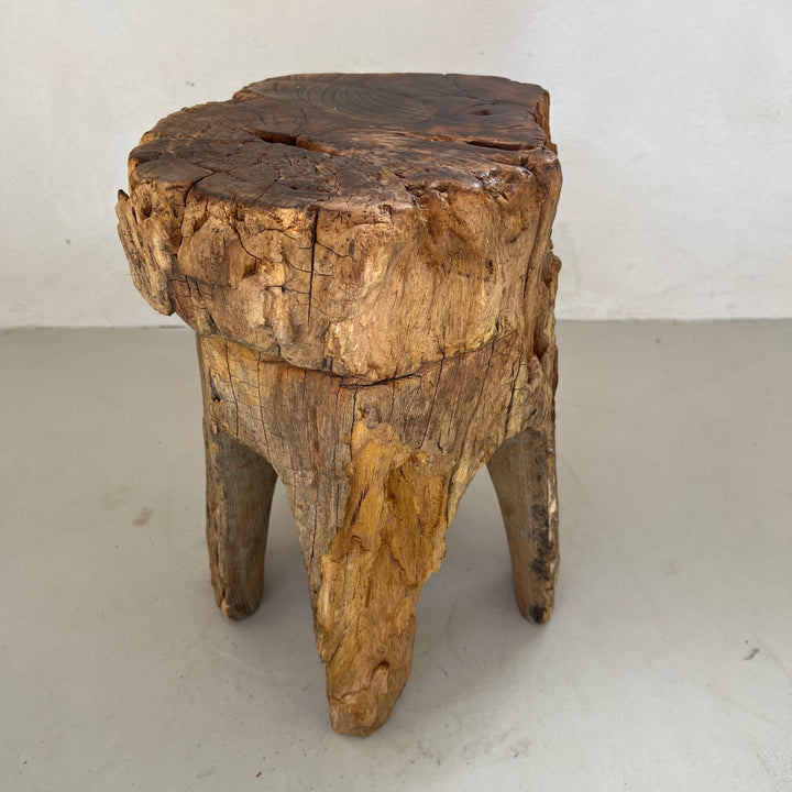 Tree Trunk Stool Side Table