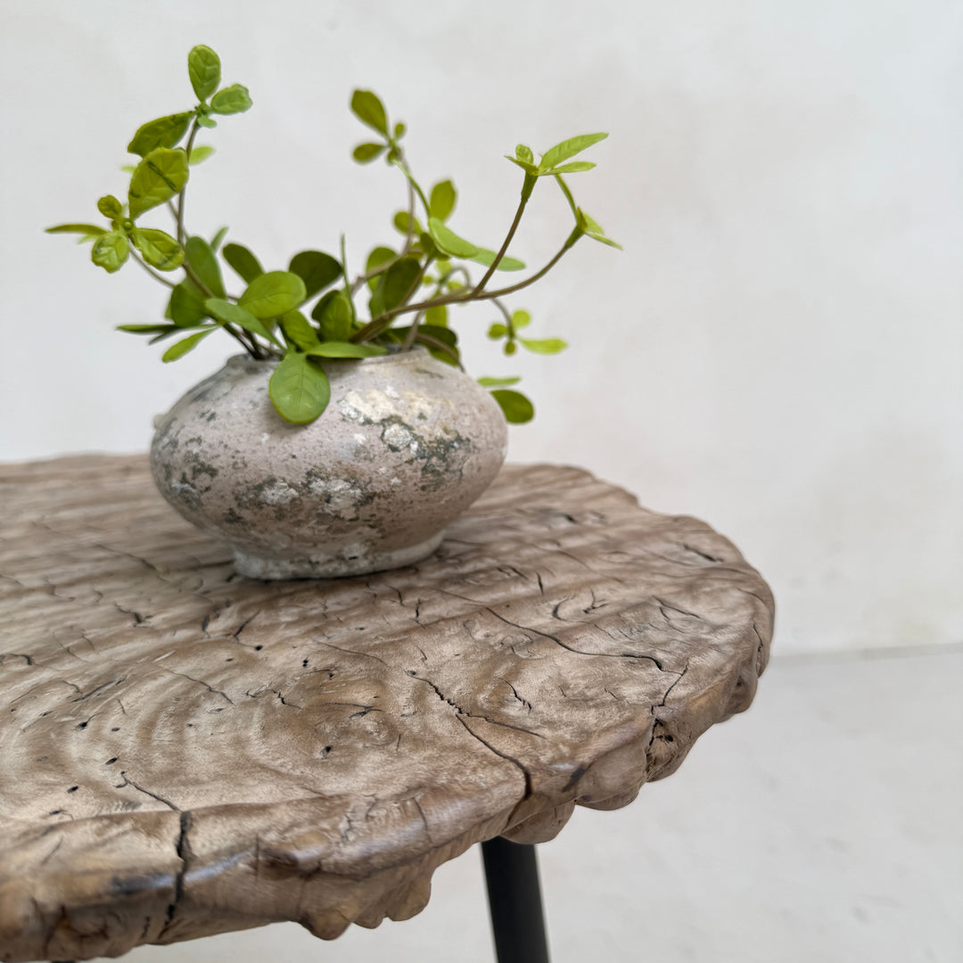 Ancient burr elm side table | Octavia