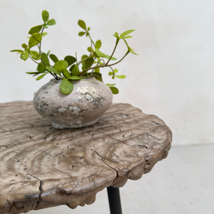 Ancient burr elm side table | Octavia