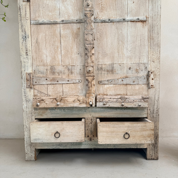 Salvaged Indian Antique Door Cupboard Rena