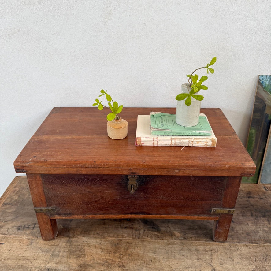 Antique Indian Teak Storage Box | Tara