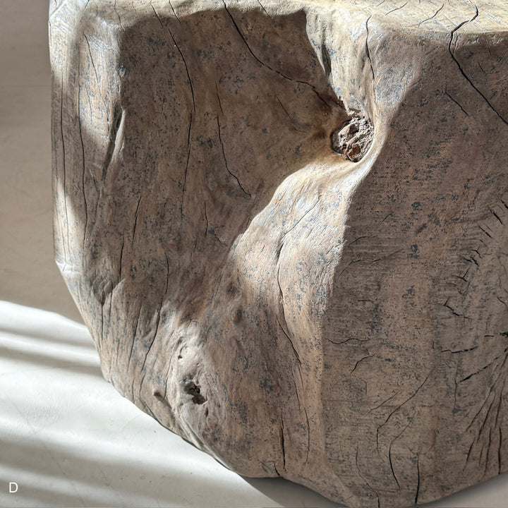 Natural Tree Trunk Side Table