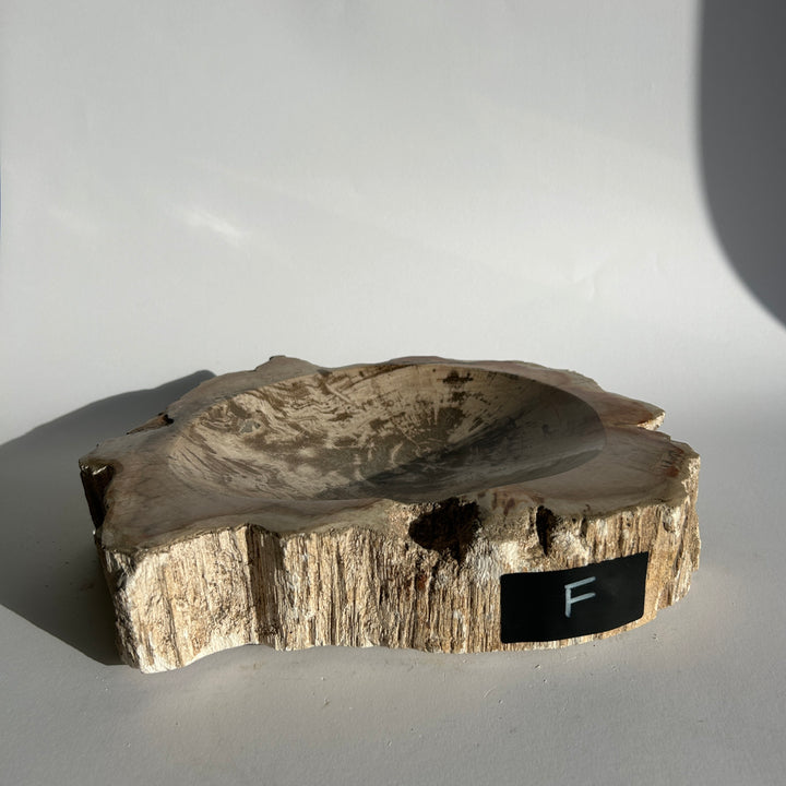 Petrified Wood stone Bowls