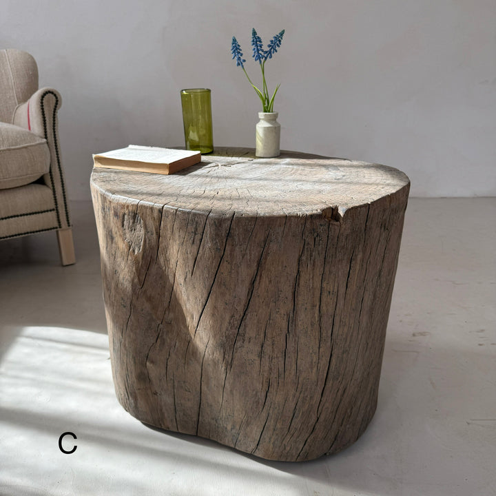 Natural Tree Trunk Side Table