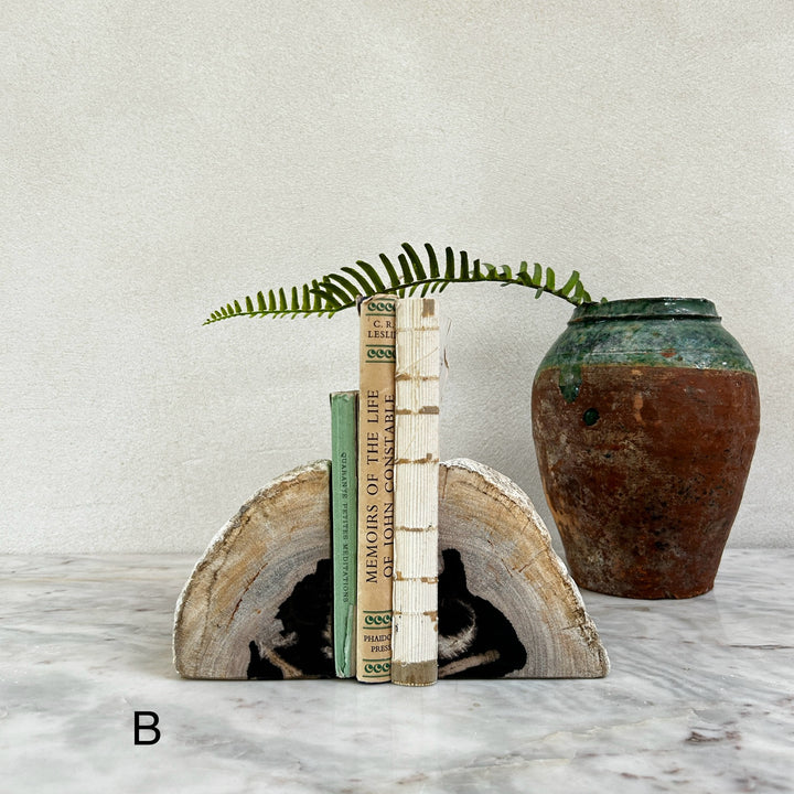 Petrified Wood Pair of Bookends