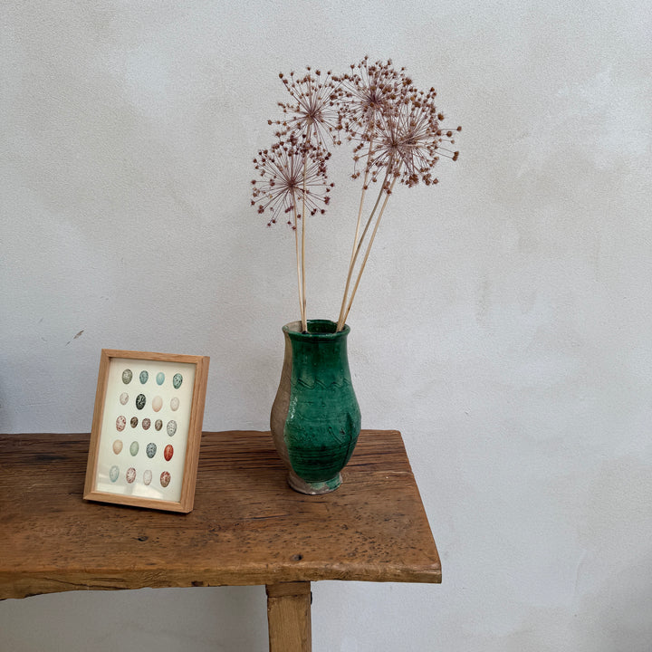 Small Oak Framed Egg Prints