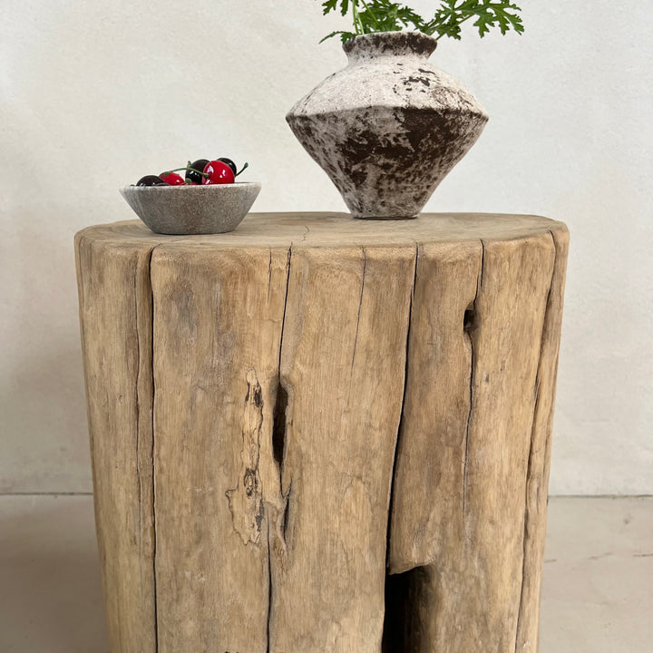 Salvaged Wood Tree Stump Side Table
