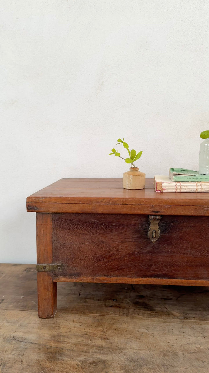 Antique Indian Teak Storage Box | Tara