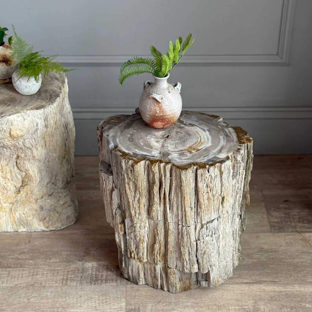 Petrified Wood Side Tables