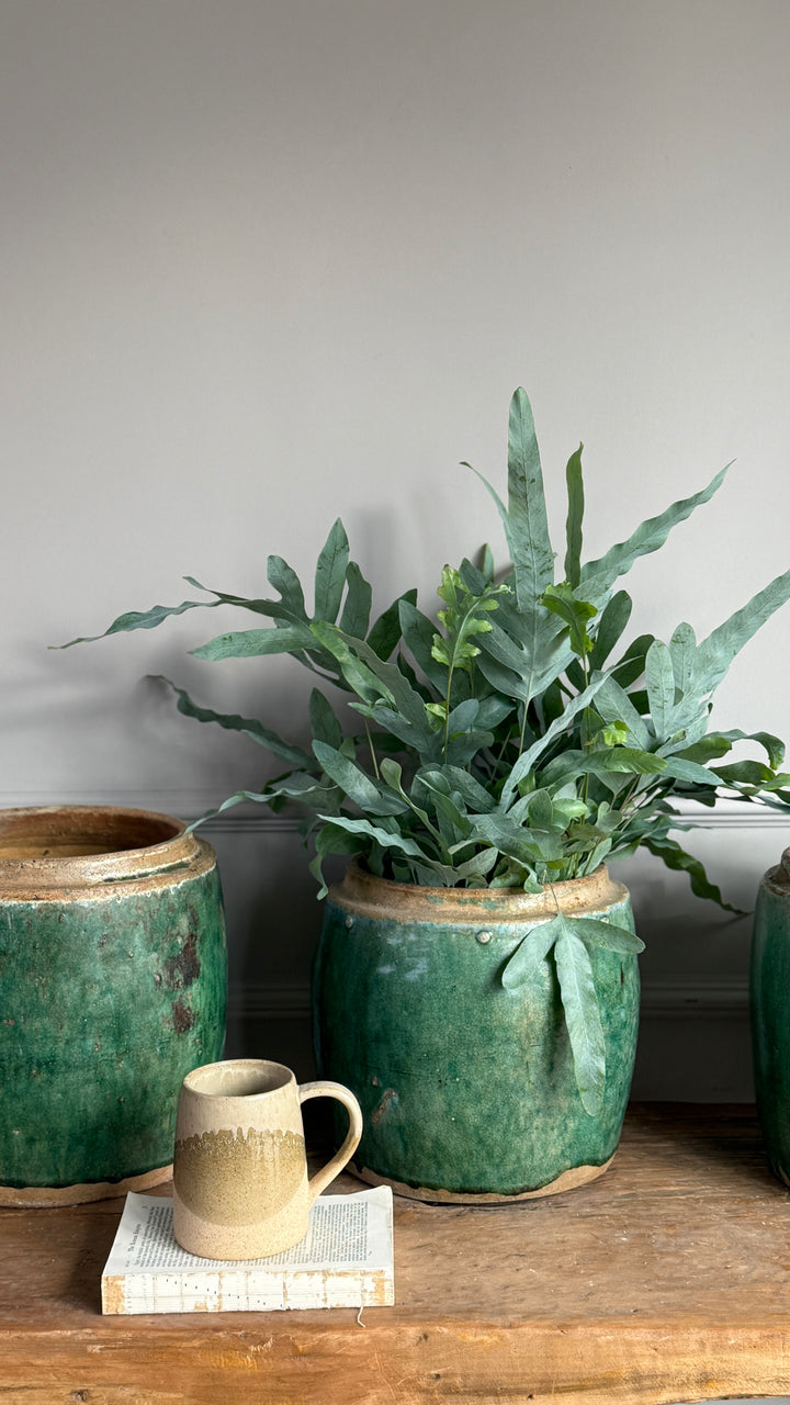 Antique jade coloured rice pot Small