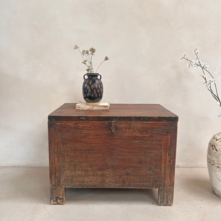 Antique Dark Wood Storage Chest | Jude