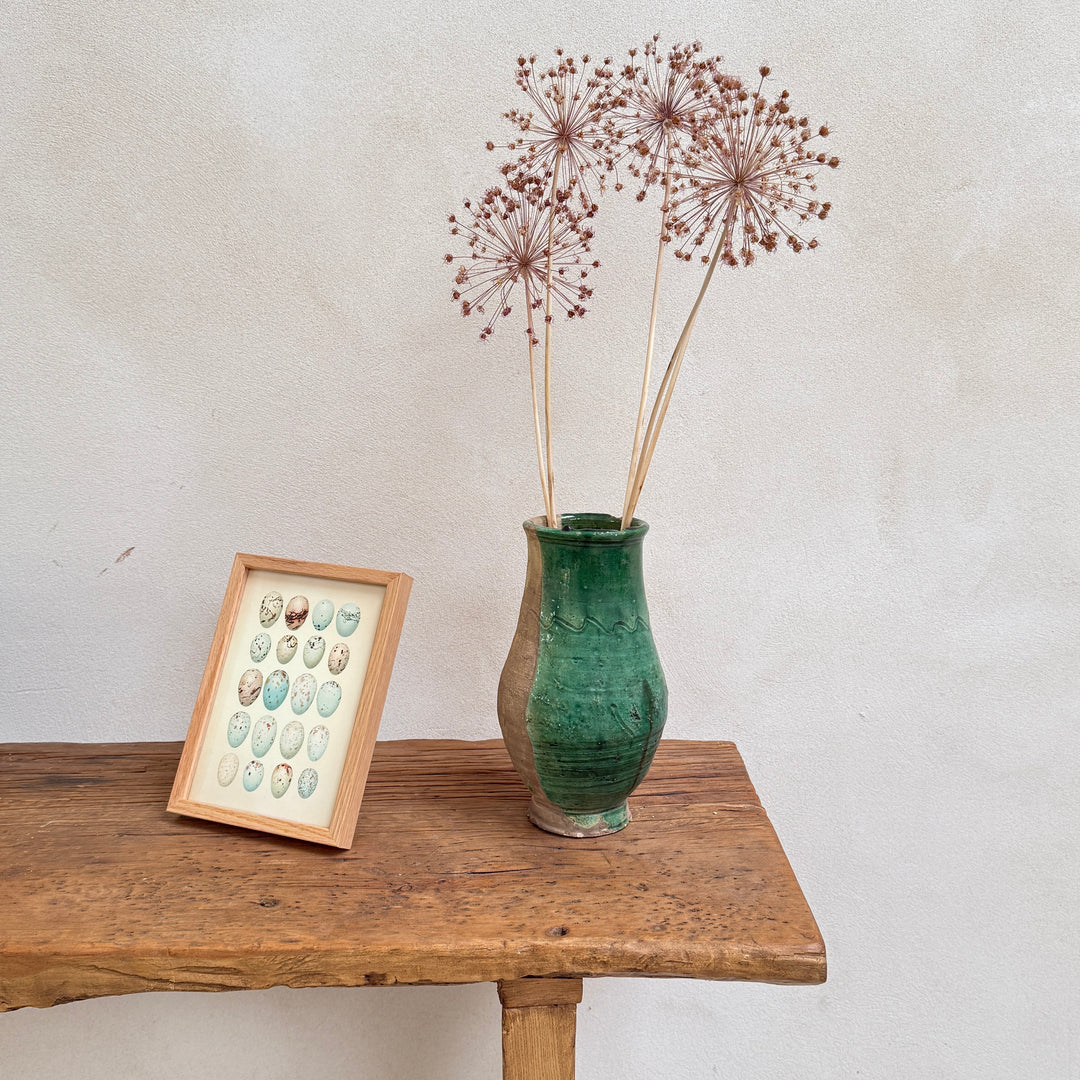 Small Oak Framed Egg Prints