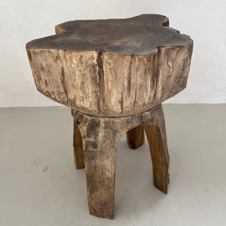 Tree Trunk Stool Side Table