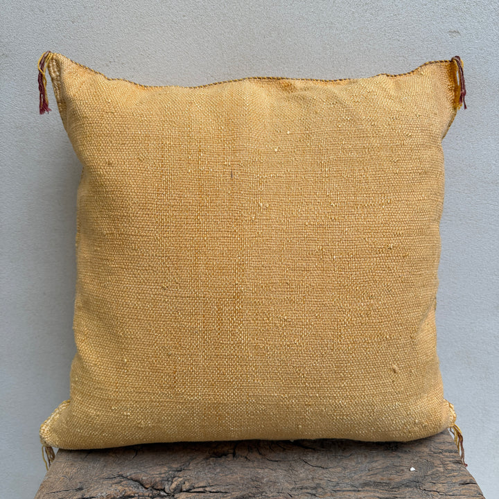 Moroccan Cactus Silk Cushion