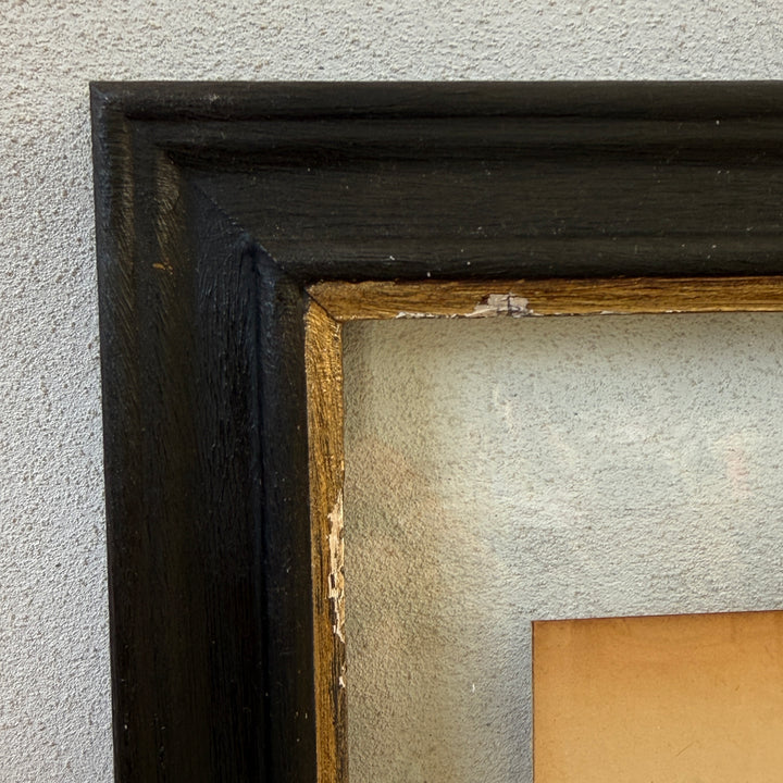 Antique Framed Fern Herbarium | Glass Backed Frame | Circa 1890