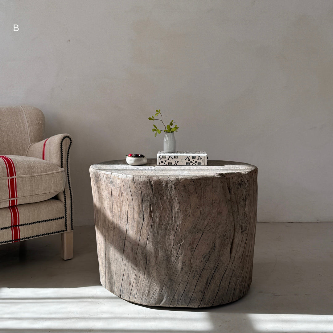 Natural Tree Trunk Side Table