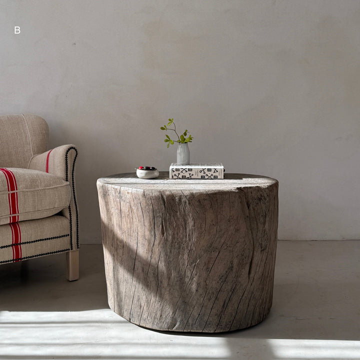 Natural Tree Trunk Side Table