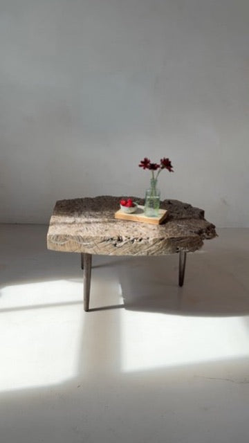 Antique burr root coffee table | Lilliana