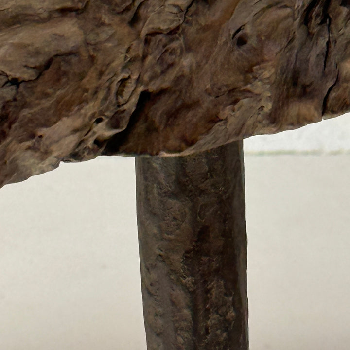 Antique burr root coffee table | Lilliana
