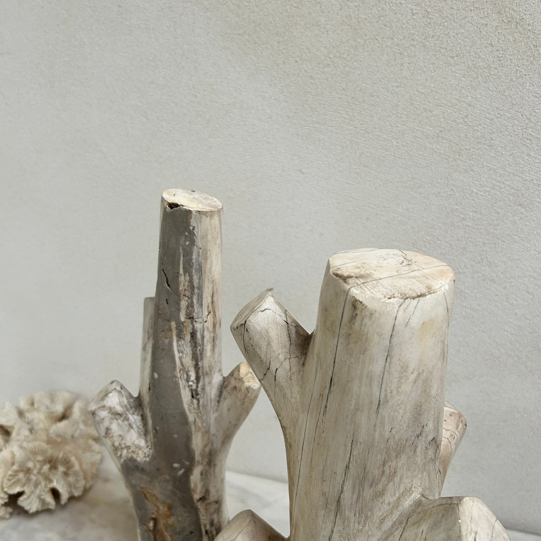 Petrified wood tree branch sculpture | Sari