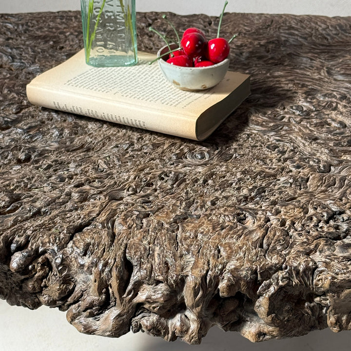 Antique burr root coffee table | Lilliana