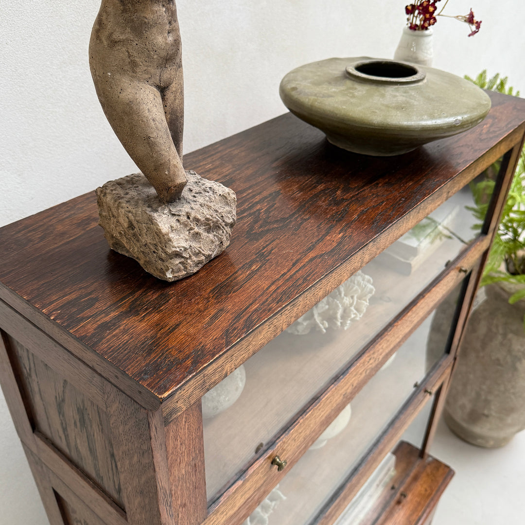 Antique Globe Wernicker Glazed shelving Louvre