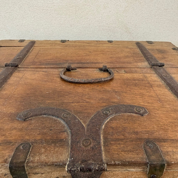 Antique Indian Elm Storage Box | Nina