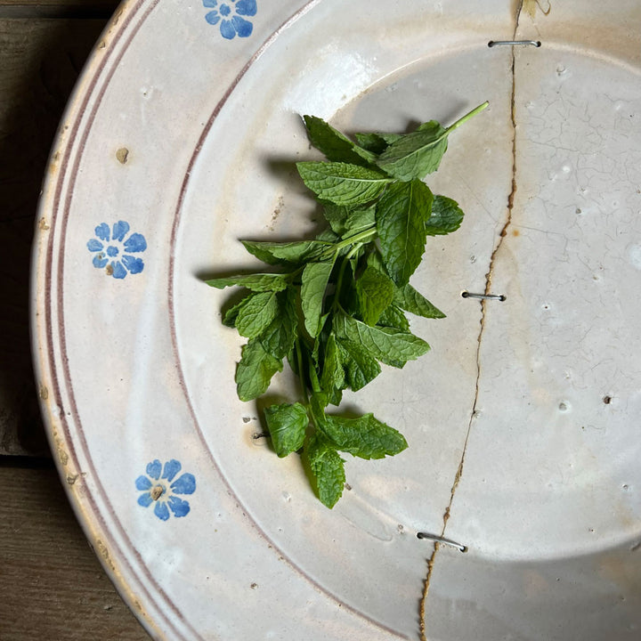 Antique Puglian ceramic bowl No:5
