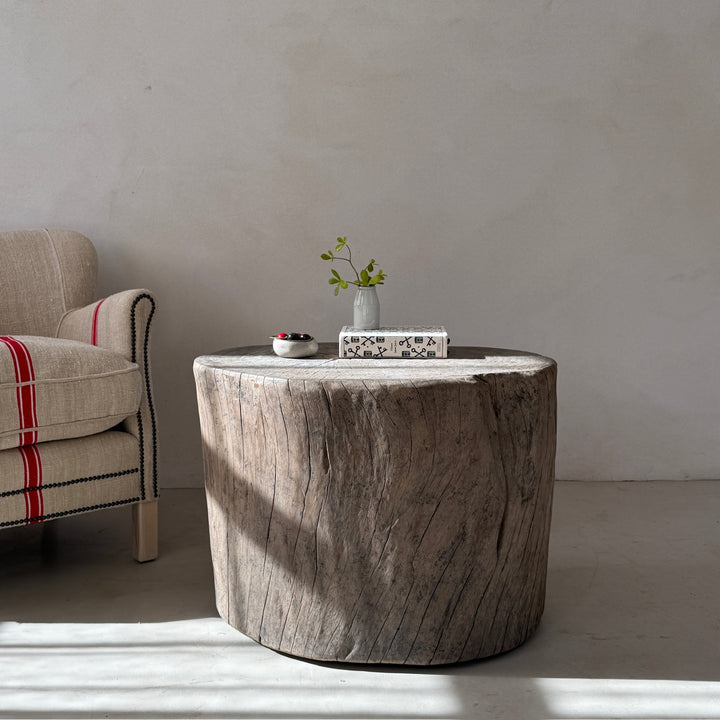 Natural Tree Trunk Side Table