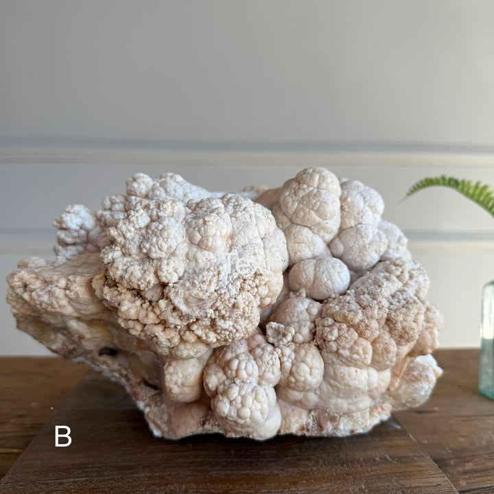 Rare Cave Stalactite Rock Formation