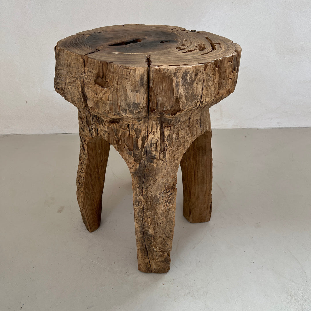 Tree Trunk Stool Side Table