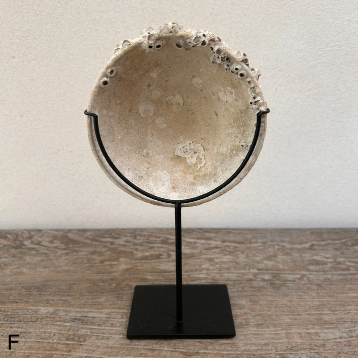 Ship wrecked bowl on Stand