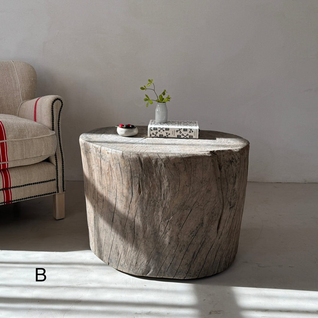 Natural Tree Trunk Side Table