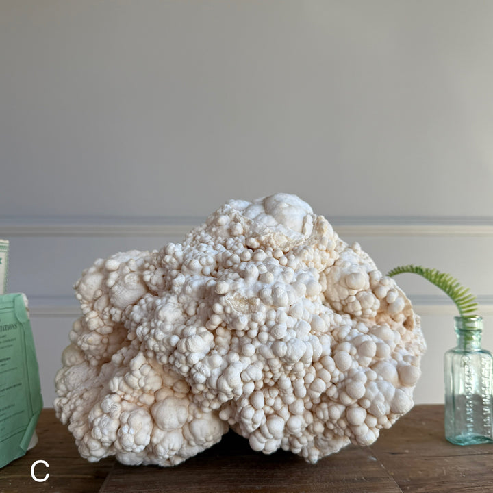 Rare Cave Stalactite Rock Formation