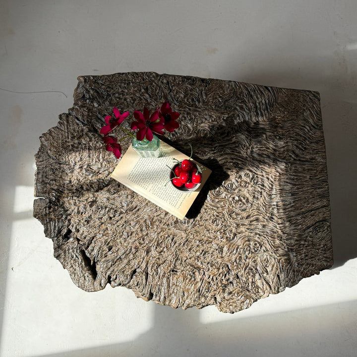Antique burr root coffee table | Lilliana