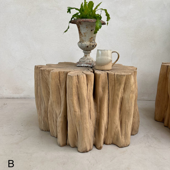 Ancient Tree Trunk Side Table Bruton