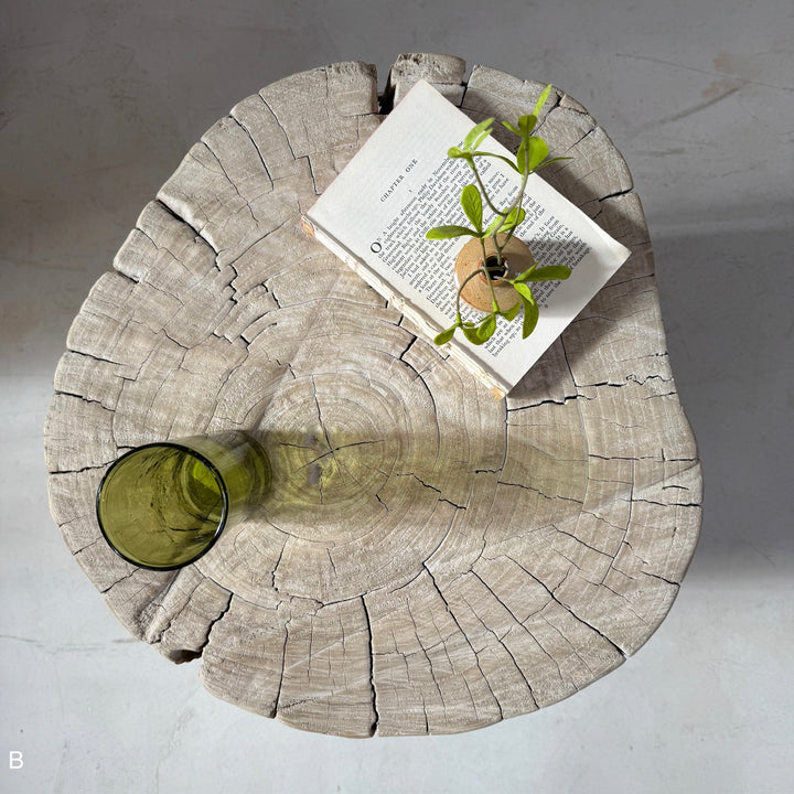 Tree Stump Side Table | Brentwood