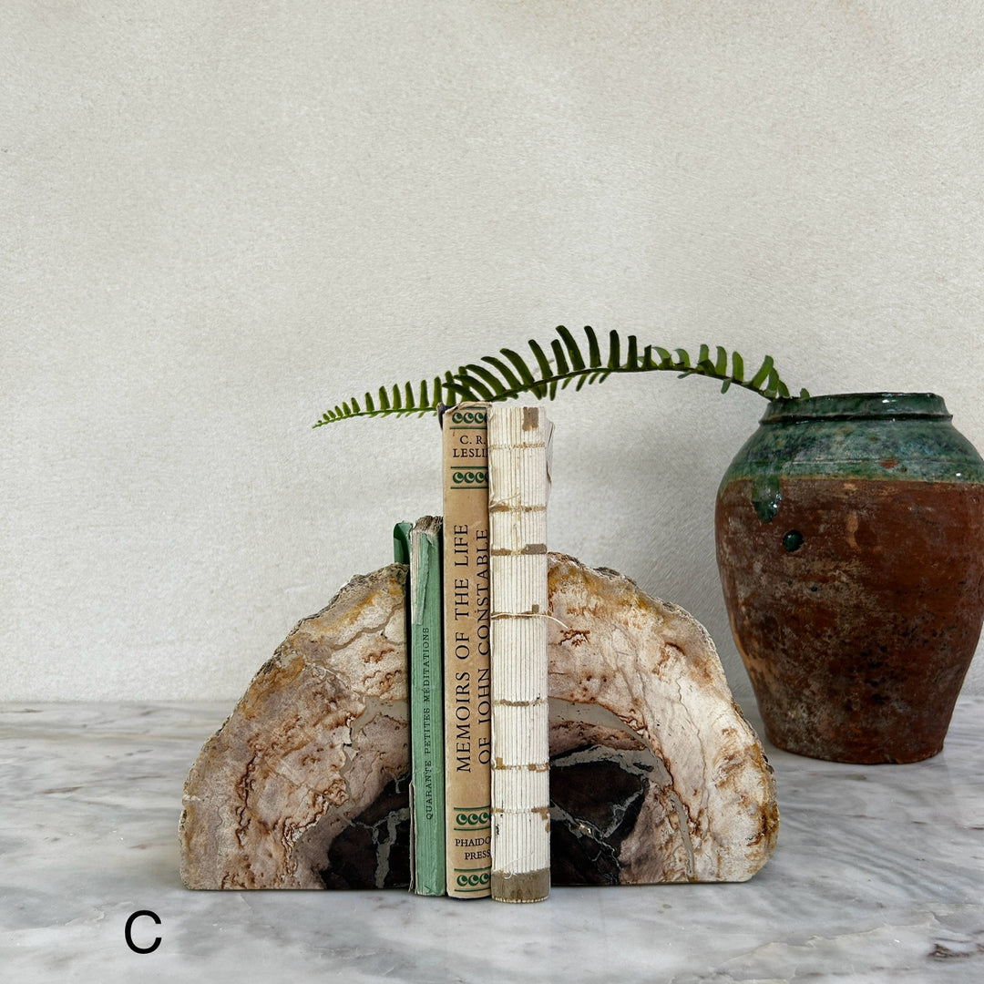 Petrified Wood Pair of Bookends