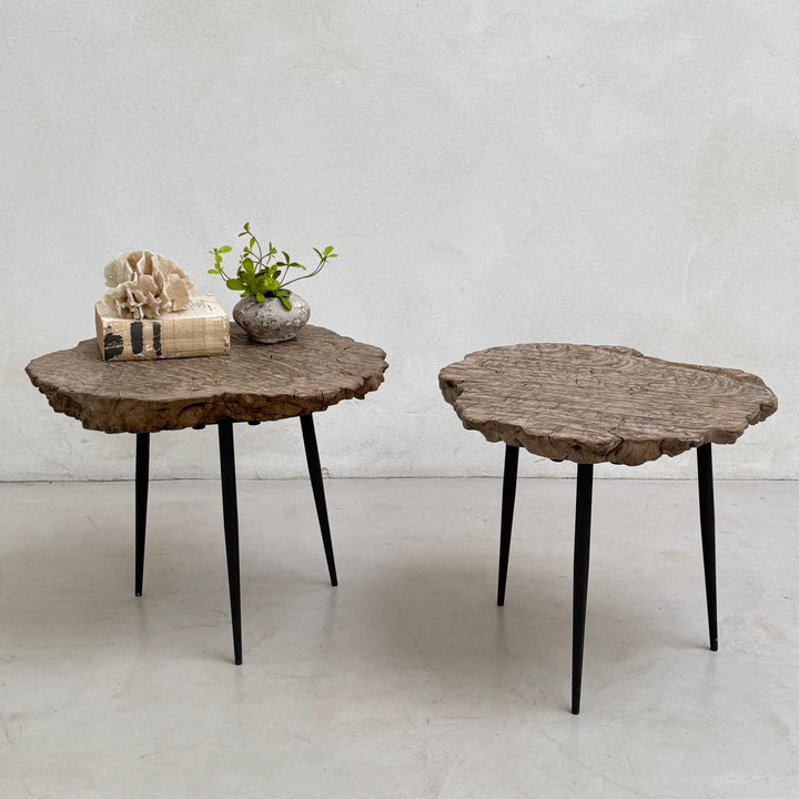 Ancient burr elm side table | Octavia