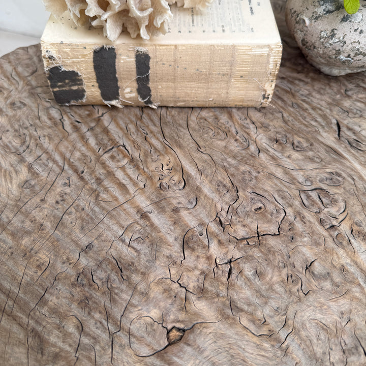 Ancient burr elm side table | Octavia