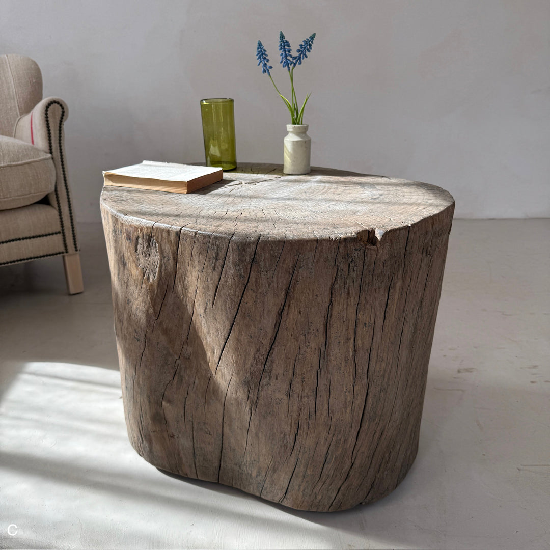 Natural Tree Trunk Side Table