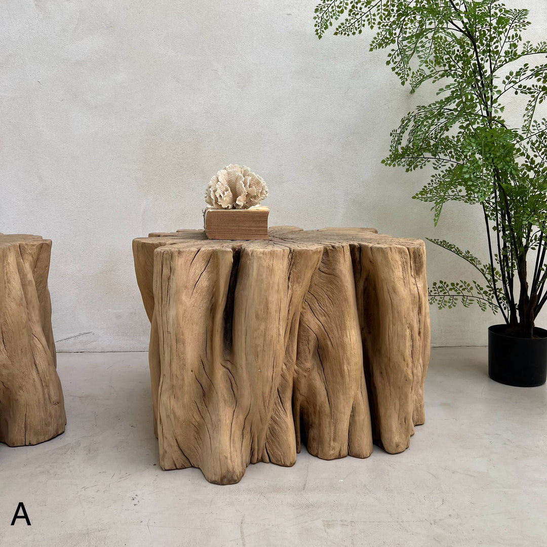 Ancient Tree Trunk Side Table Bruton