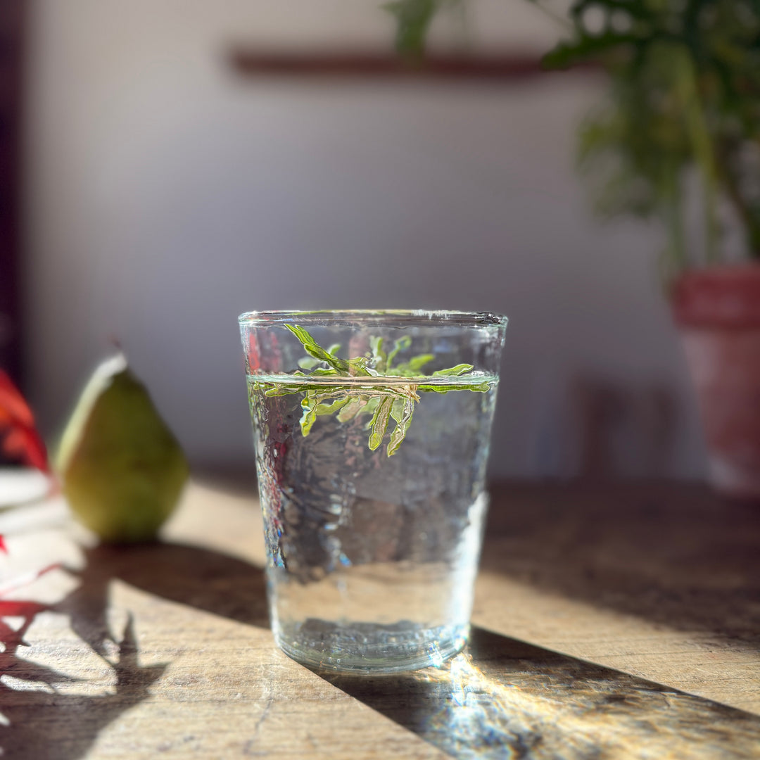Textured Glass Tumbler | Clear