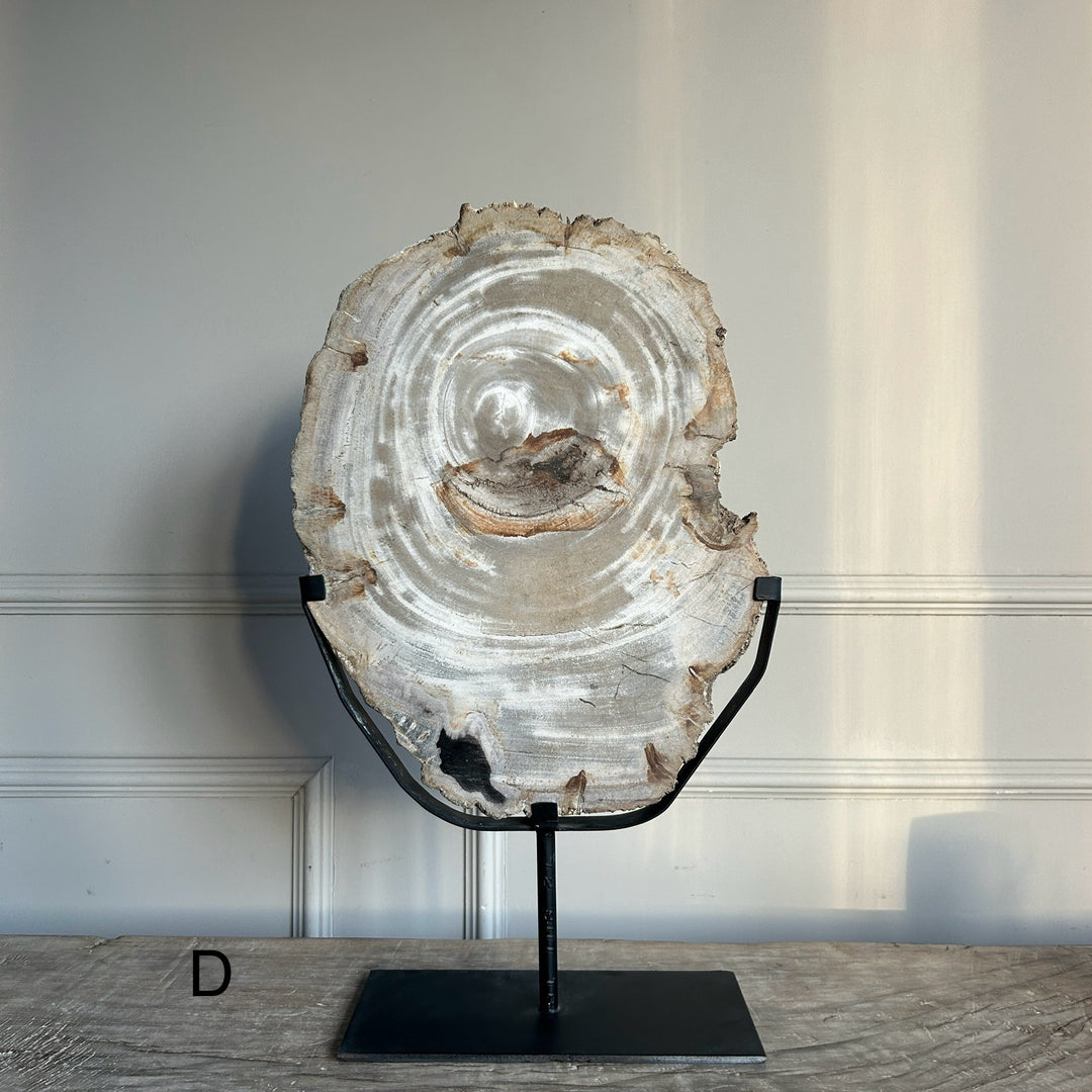 Petrified Wood on Stand