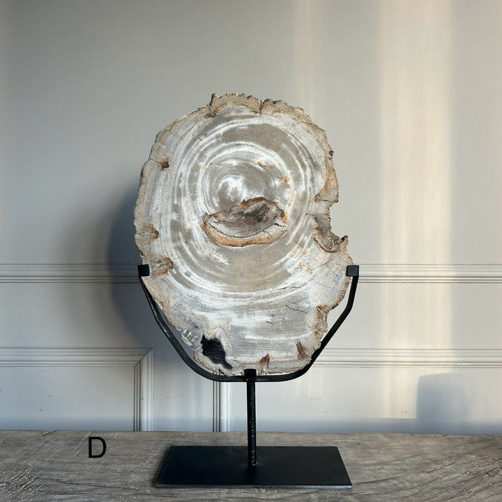 Petrified Wood on Stand